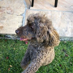 Meet your Posher, Lindsey